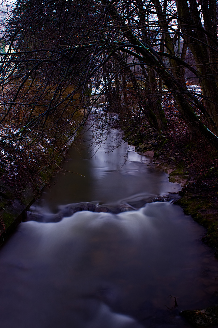 Standing Water.