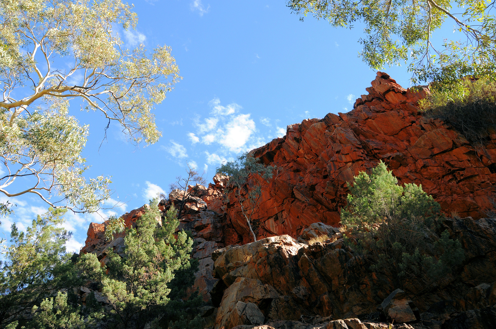 Standley Chasm (1)