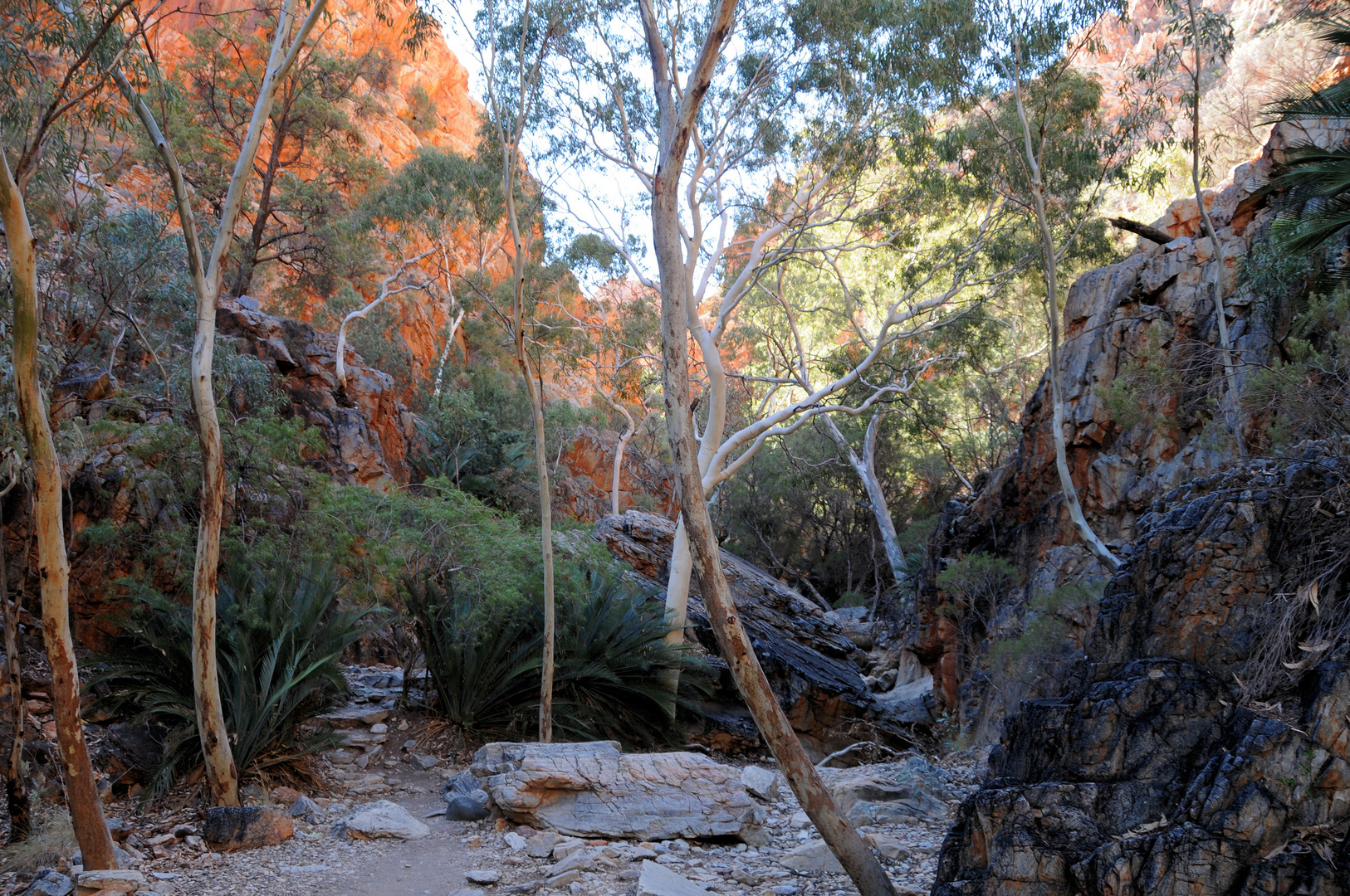 Standley Chasm (2)