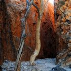 Standley Chasm (3)