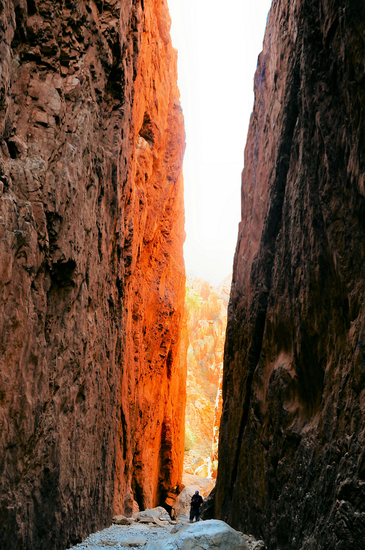 Standley Chasm (4)