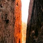 Standley Chasm (4)