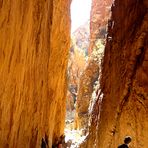 Standley Chasm, II