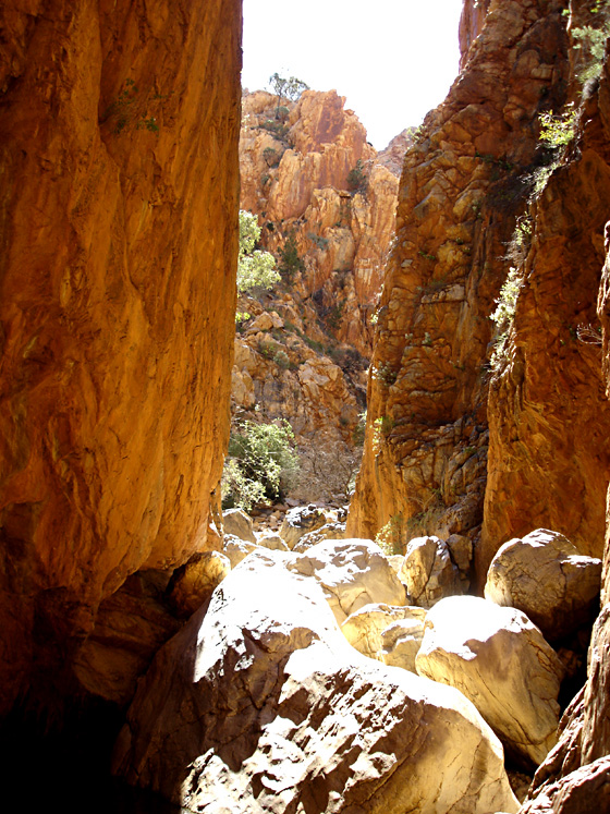 Standley Chasm, IV