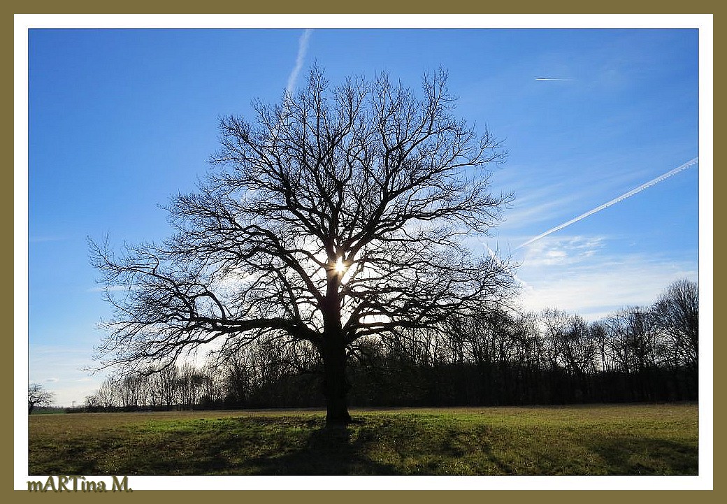 Standortvorteil (mit Gedicht)