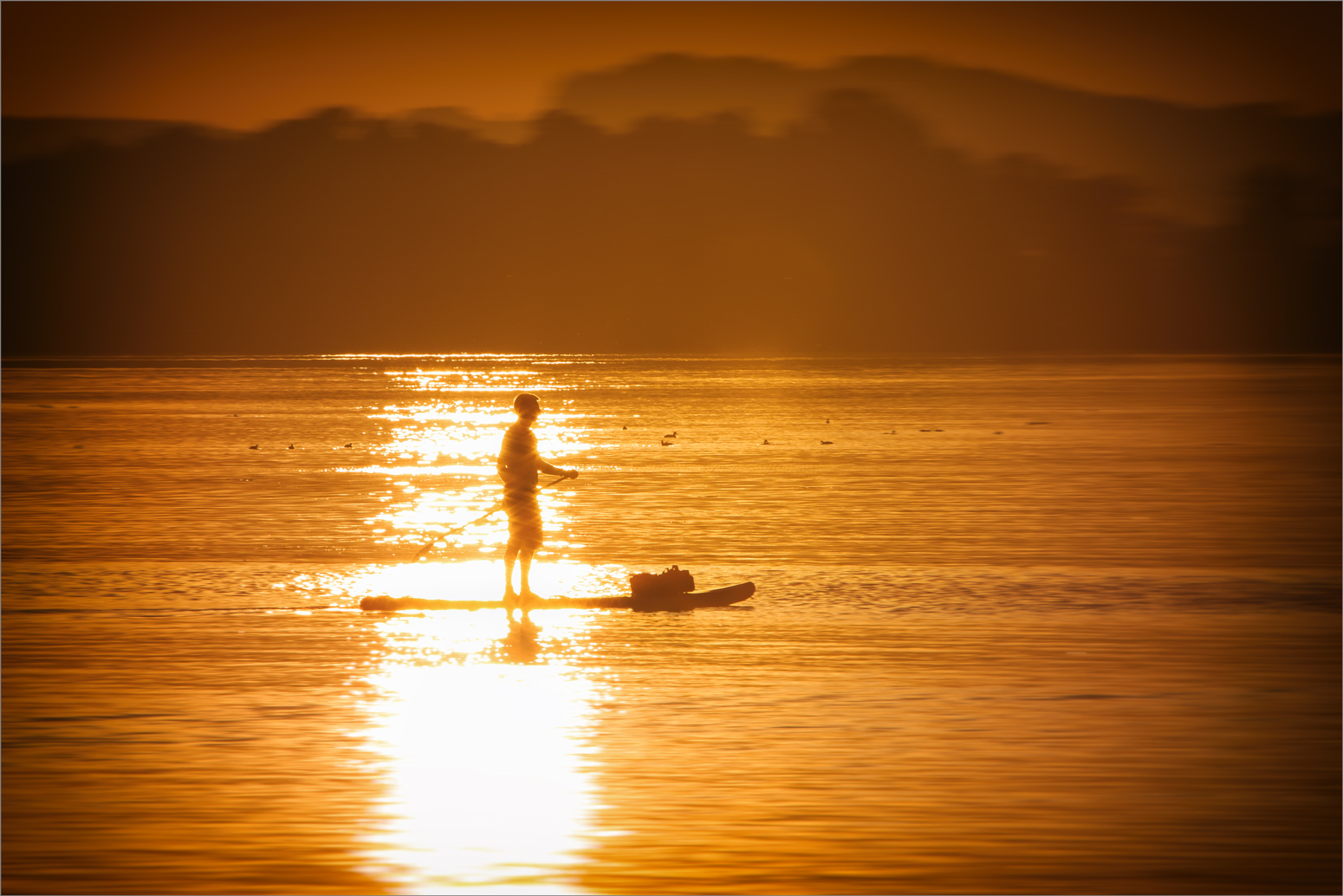 /// Stand.Up.Paddle.Surfing ///