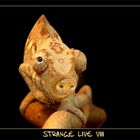 -- Stange Live VIII --