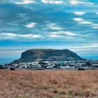 Stanley at the northern coast