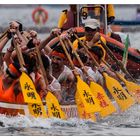 Stanley International Dragon Boat Championship 02