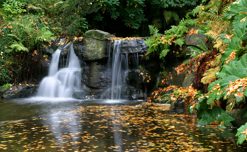 Stanley Park Wasserfall