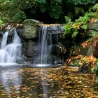 Stanley Park Wasserfall