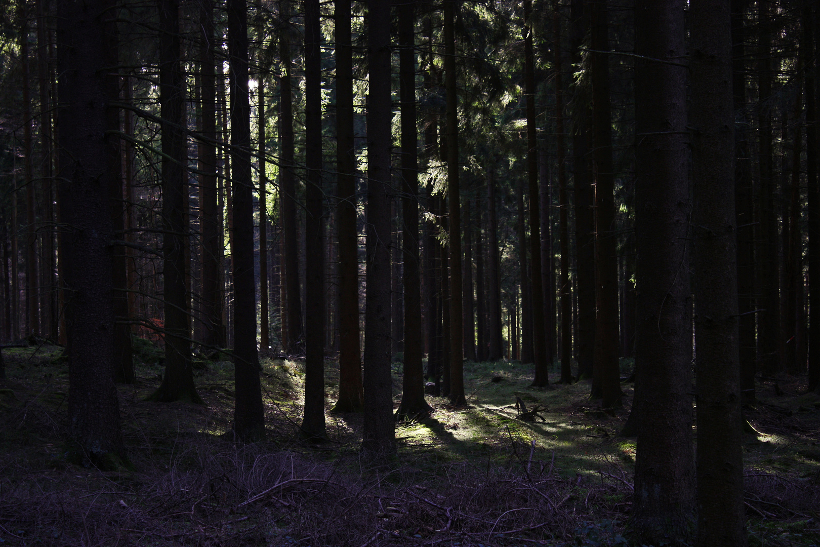 Stapellager Schlucht