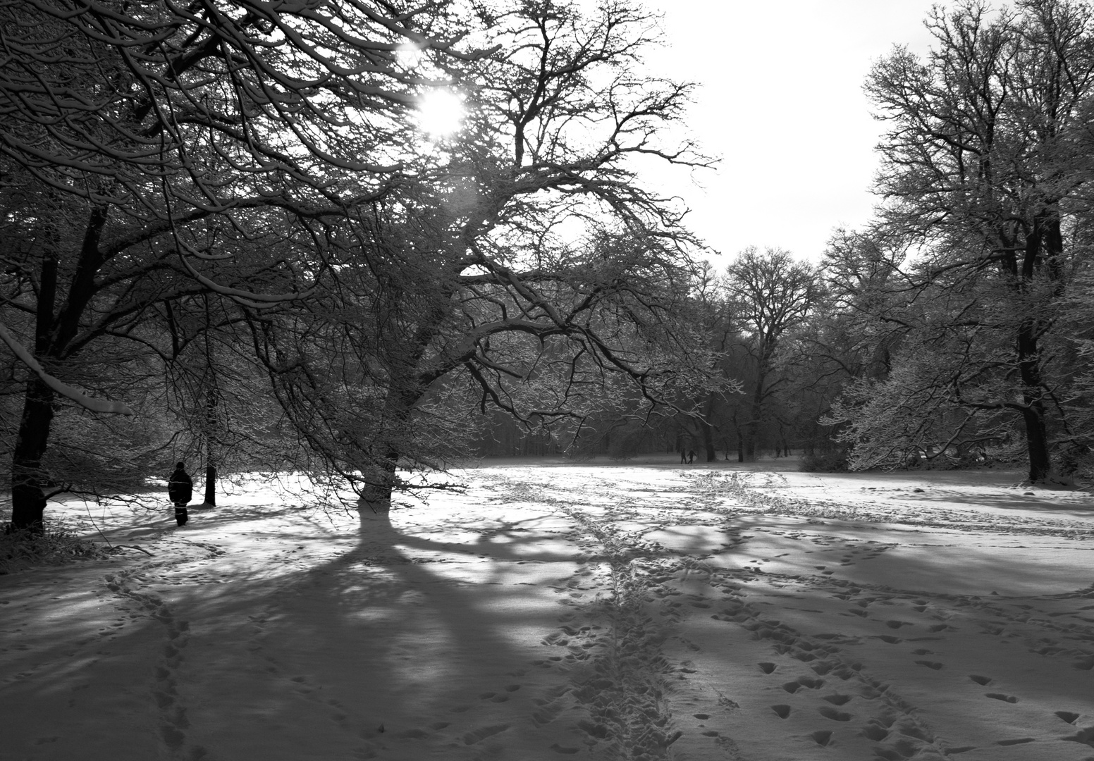 Stapfen im Schnee