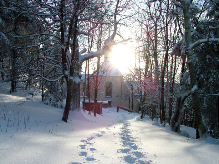 Stapfen im Schnee