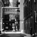 Staple Street - A Tribeca Memory