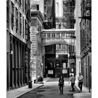 Staple Street, Tribeca