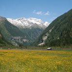 Stappitzersee - Natur pur