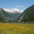 Stappitzersee - Natur pur