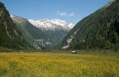 Stappitzersee - Natur pur