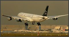 Star Alliance A 340