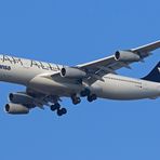 Star Alliance A340-313