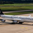 Star Alliance AIRBUS 340-300  - Kennung D-AIFA