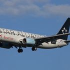 Star Alliance Boeing 737