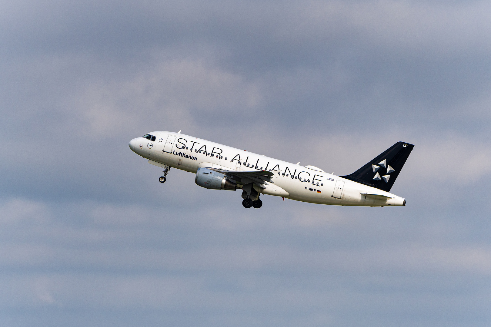 star alliance