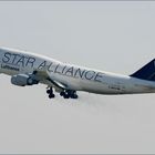 Star Alliance im Steigflug