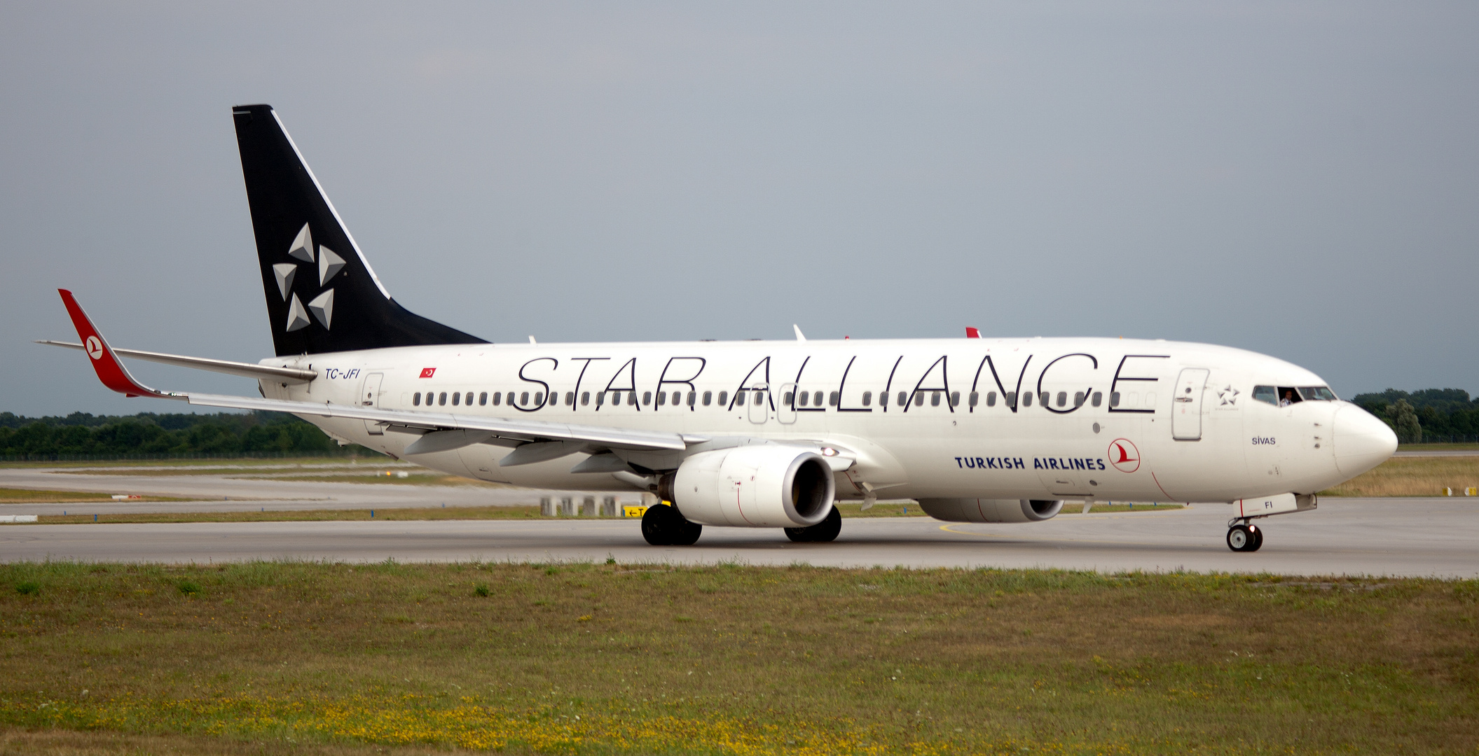 Star Alliance Turkish 737-800