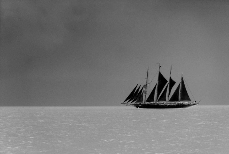 Star Clipper SW Neg