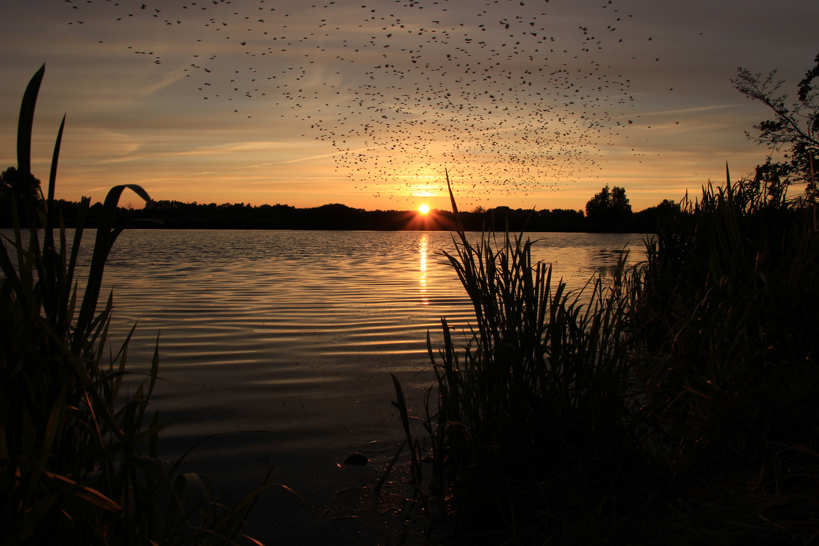 Star Flugformation bei Sonnenuntergang