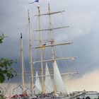 Star Flyer - Star Clippers - Rostock Warnemünde - Hanse Sail 2013