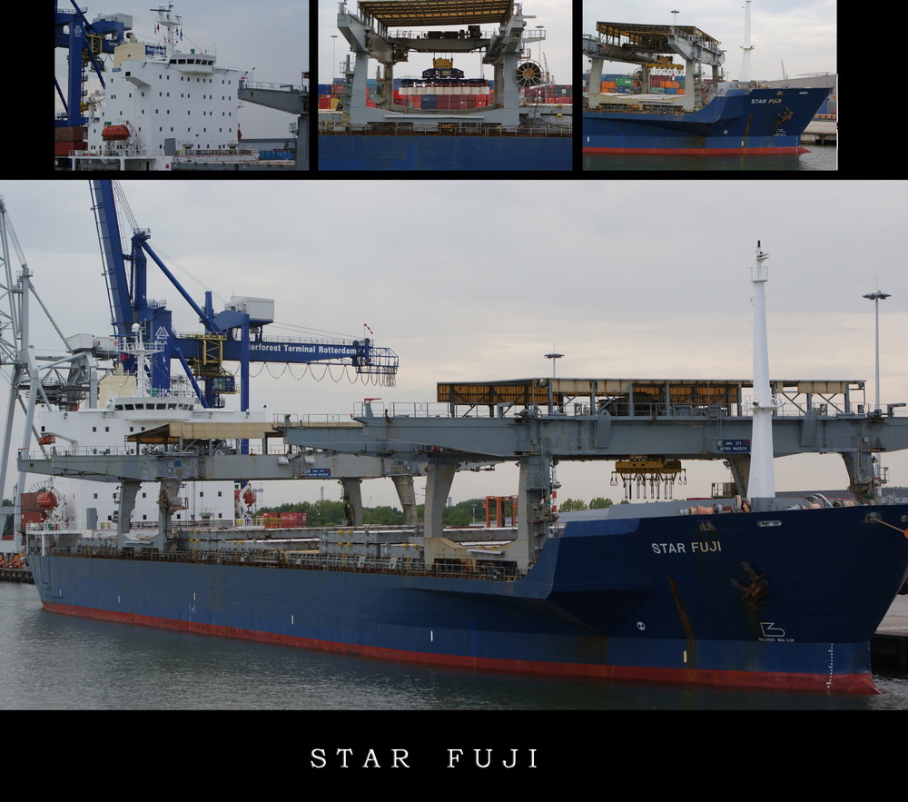 Star Fuji im Rotterdamer Hafen