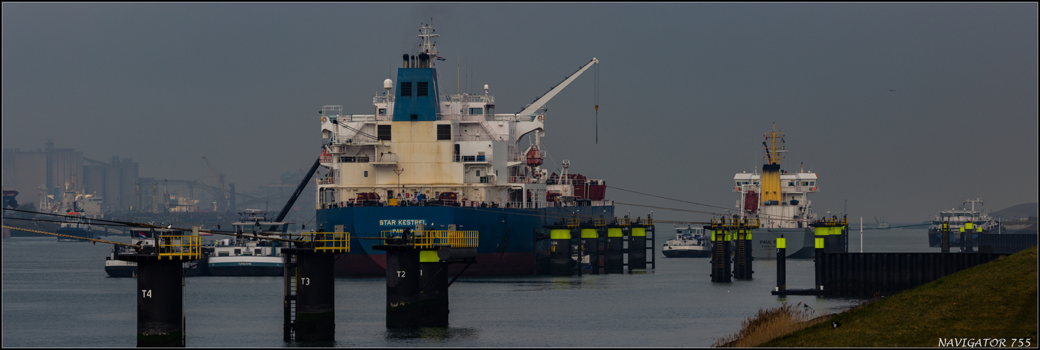 STAR KESTREL / Oil/chemical Tanker, Calandkanal, Rotterdam