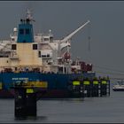STAR KESTREL / Oil/chemical Tanker, Calandkanal, Rotterdam