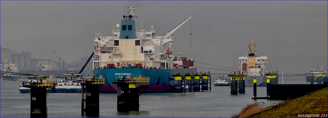 STAR KRESTEL / Oel / Chemical Tanker / Rotterdam