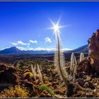 Star of Teide