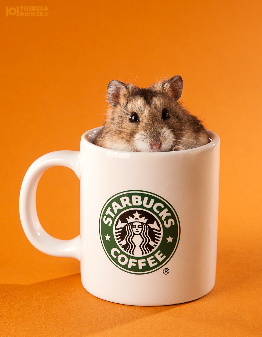 Starbucks Murphy