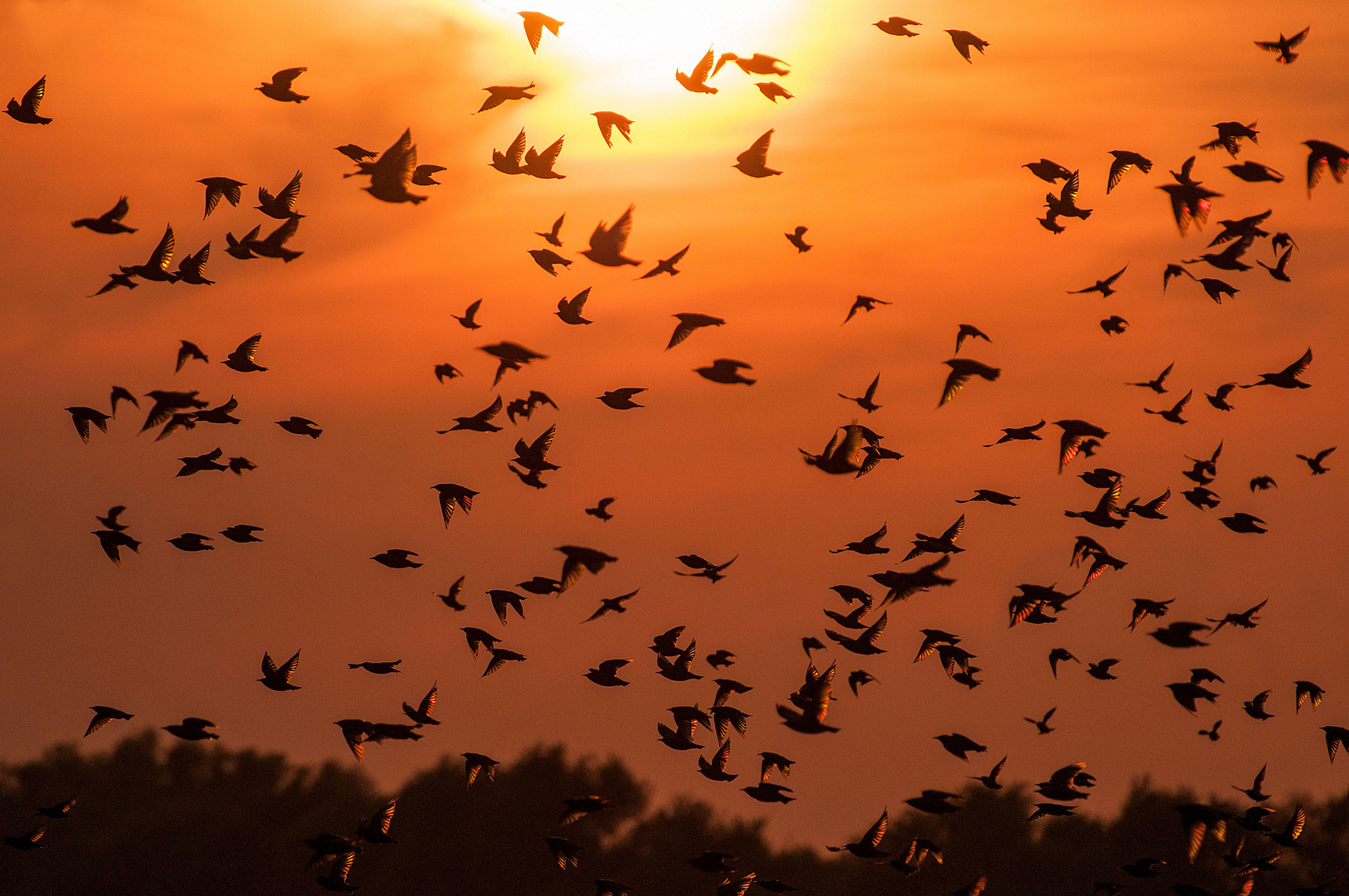 Stare Foto & Bild deutschland, europe, nordrhein westfalen Bilder