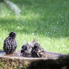 Stare beim baden