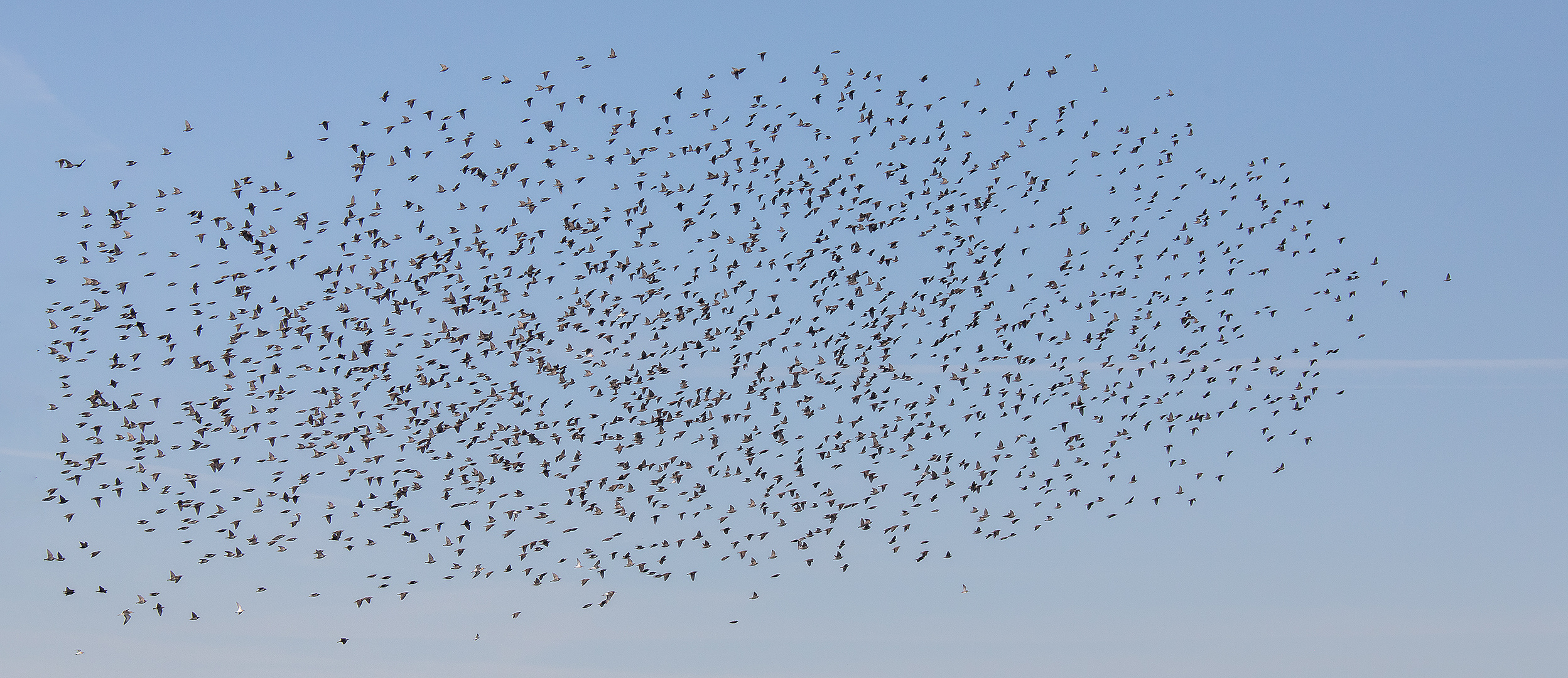 Stare Foto & Bild deutschland, europe, schleswig holstein Bilder auf