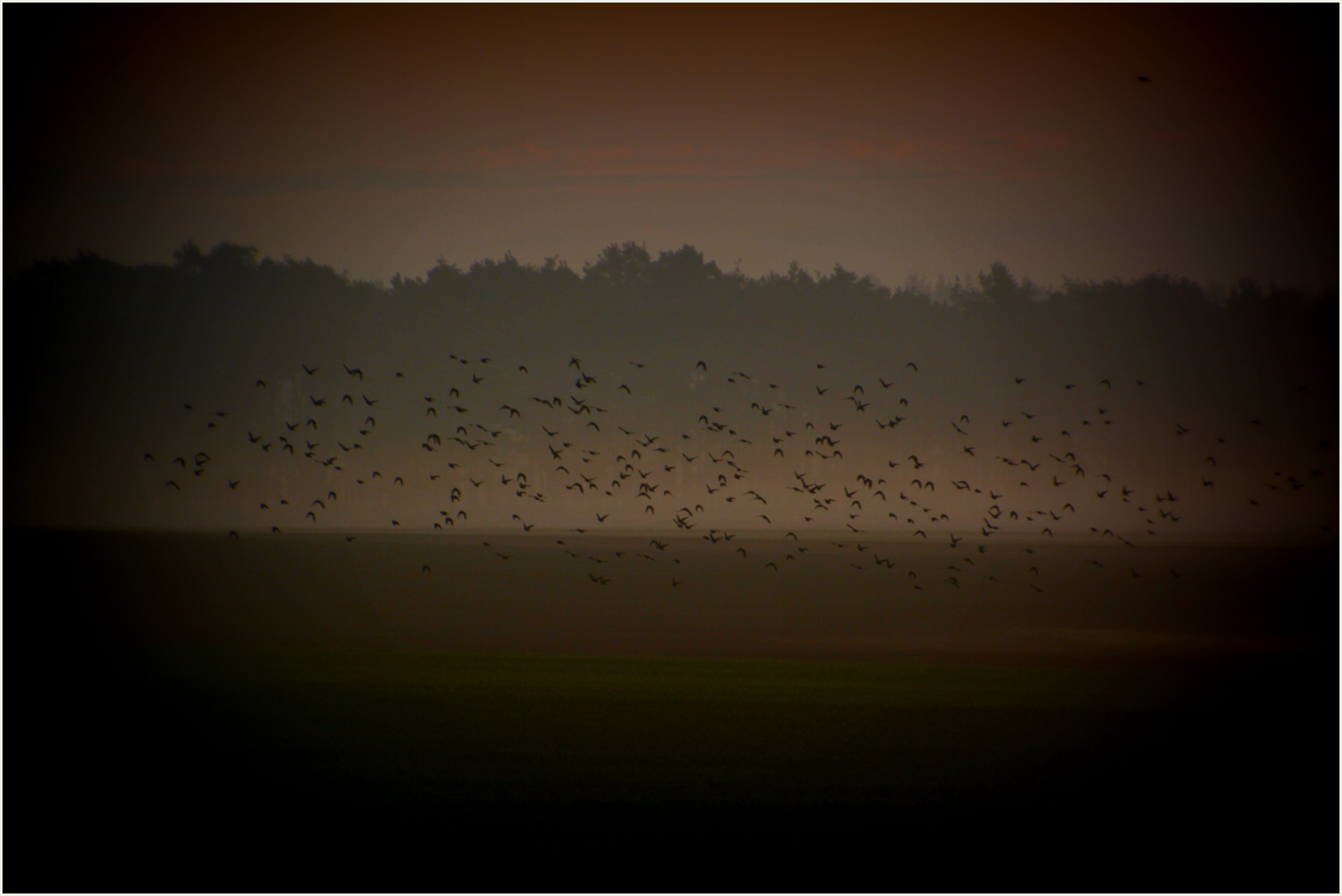 stare im nebel