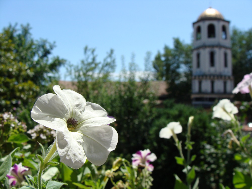 Staria Plovdiv