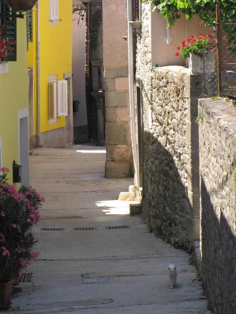 Starigrad Labin