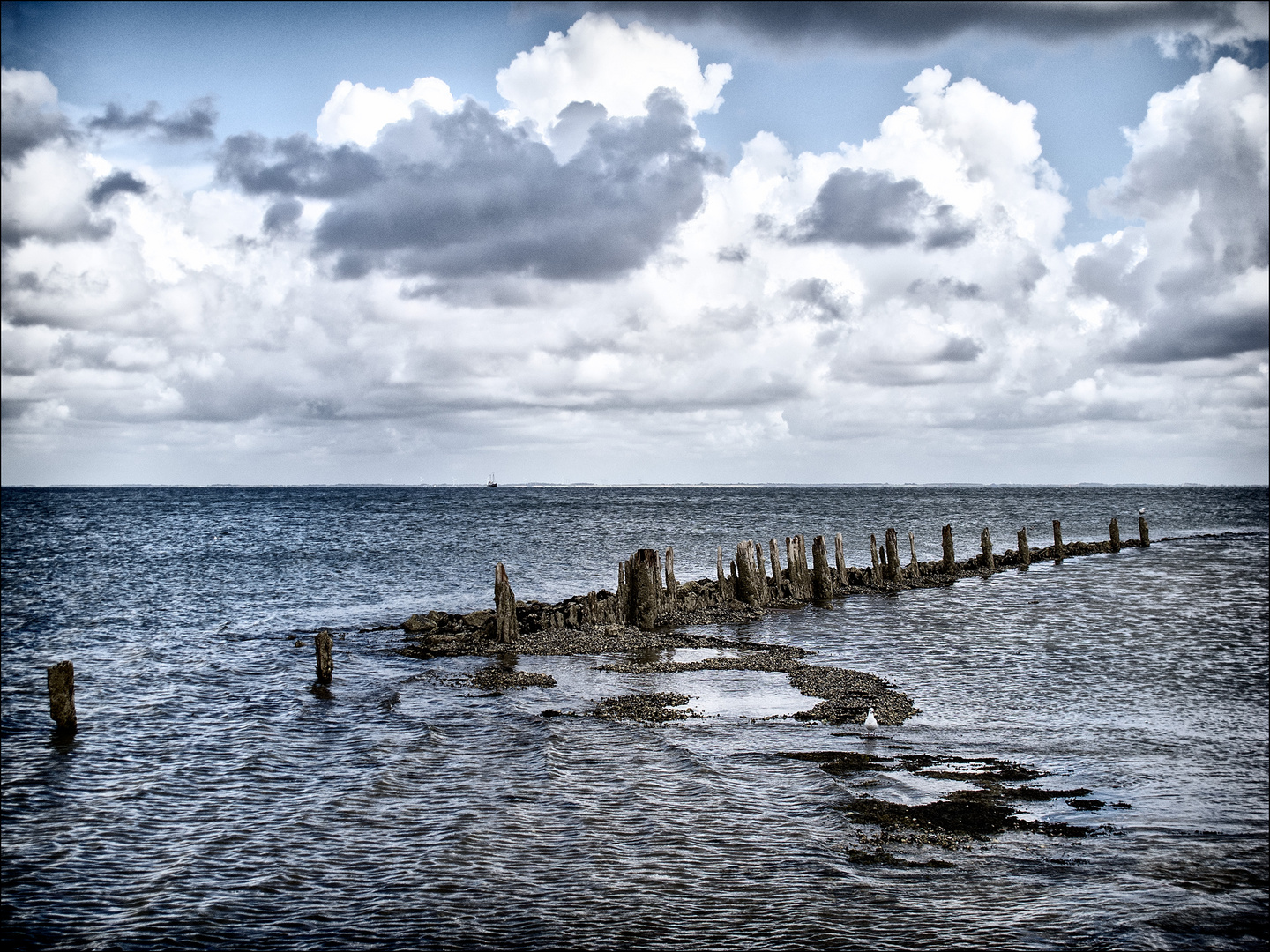 staring at the sea III