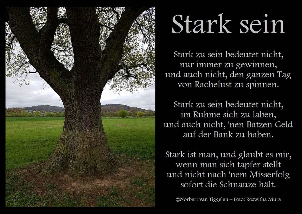 Stark sein