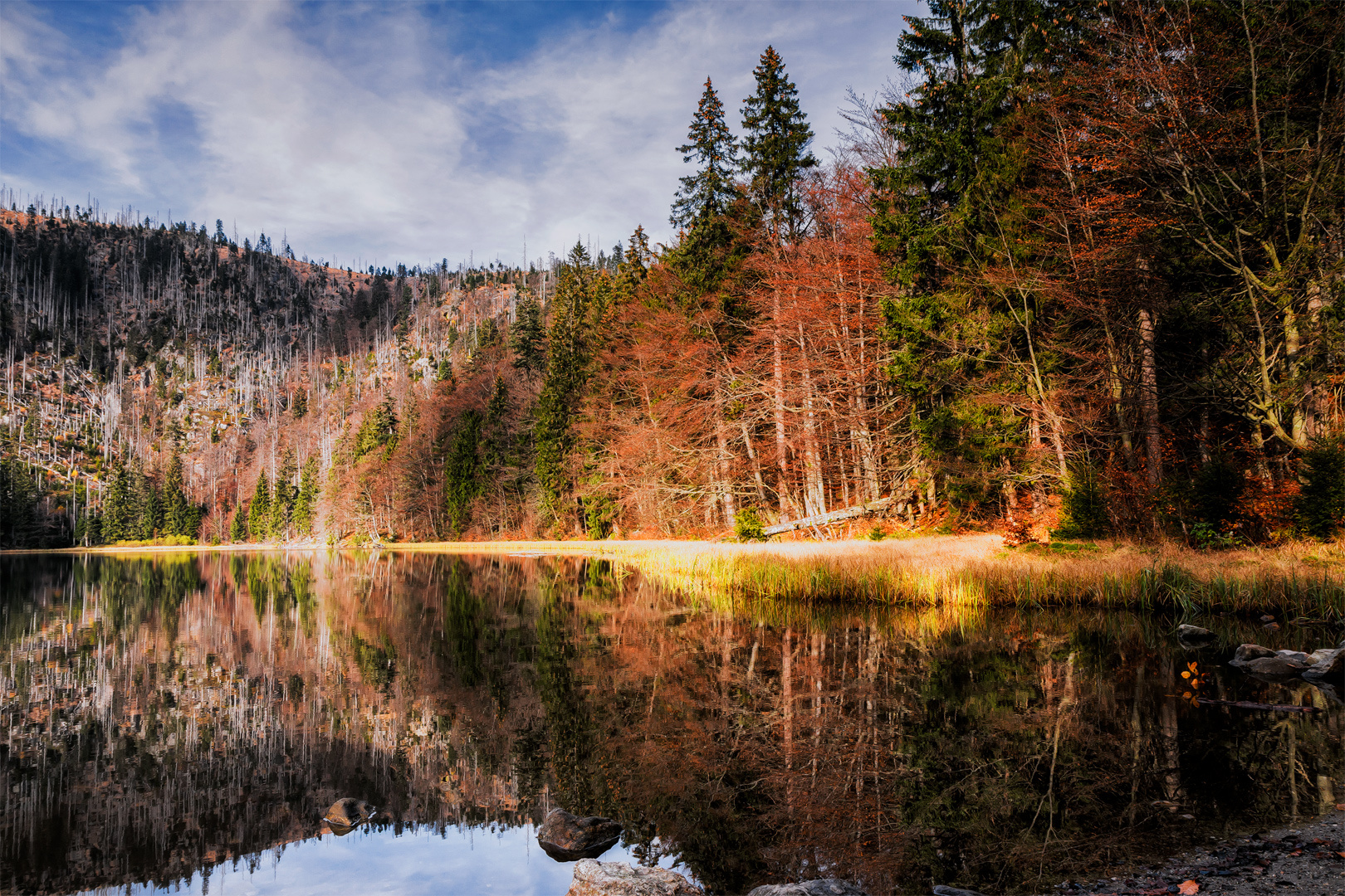 Stark und schwach - Bayern322