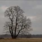 ... stark und zerbrechlich...