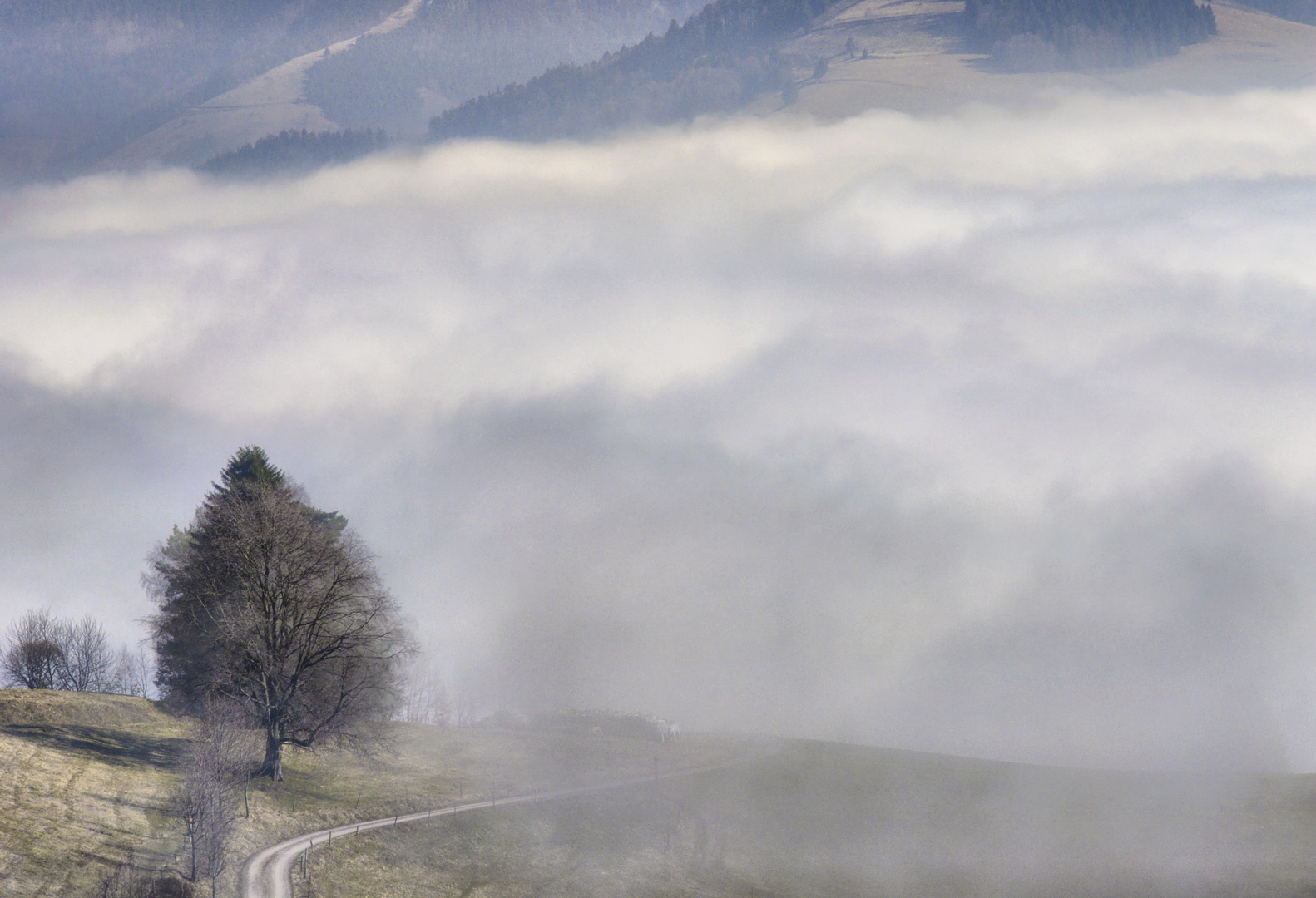 stark vernebelte Landschaft